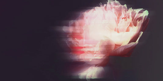 New Julies Single "My Heaven Is a Dance Floor"