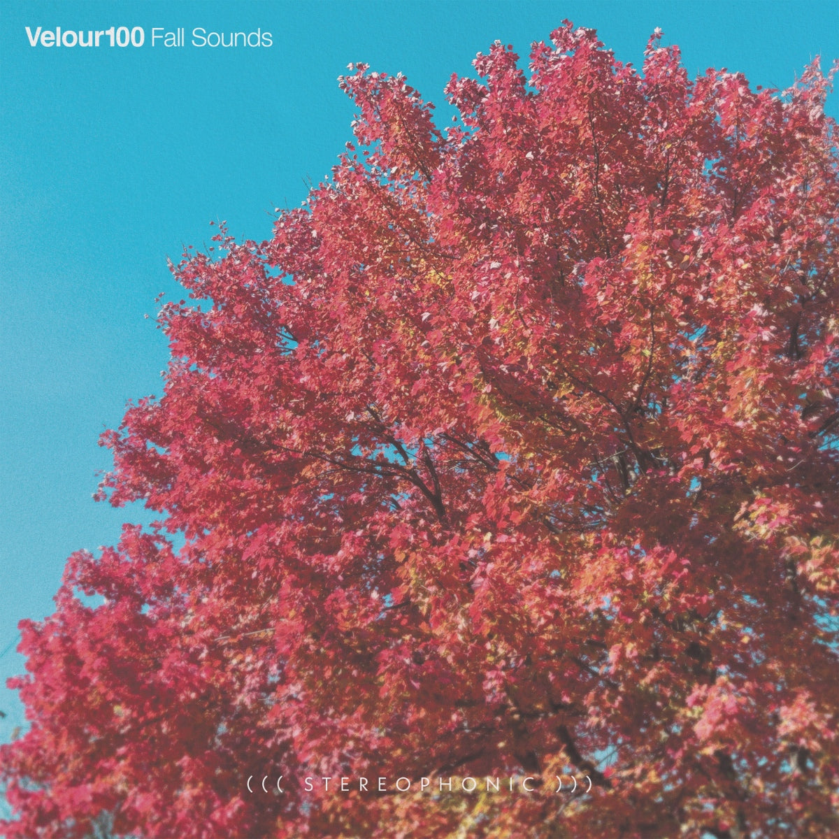 https://lostinohio.com/products/velour-100-fall-sounds social preview image
