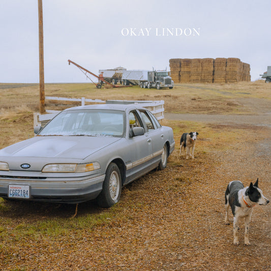 Car parked on a dirt road with two dogs and a truck in the background, featuring the brand 'Okay Lindon'.