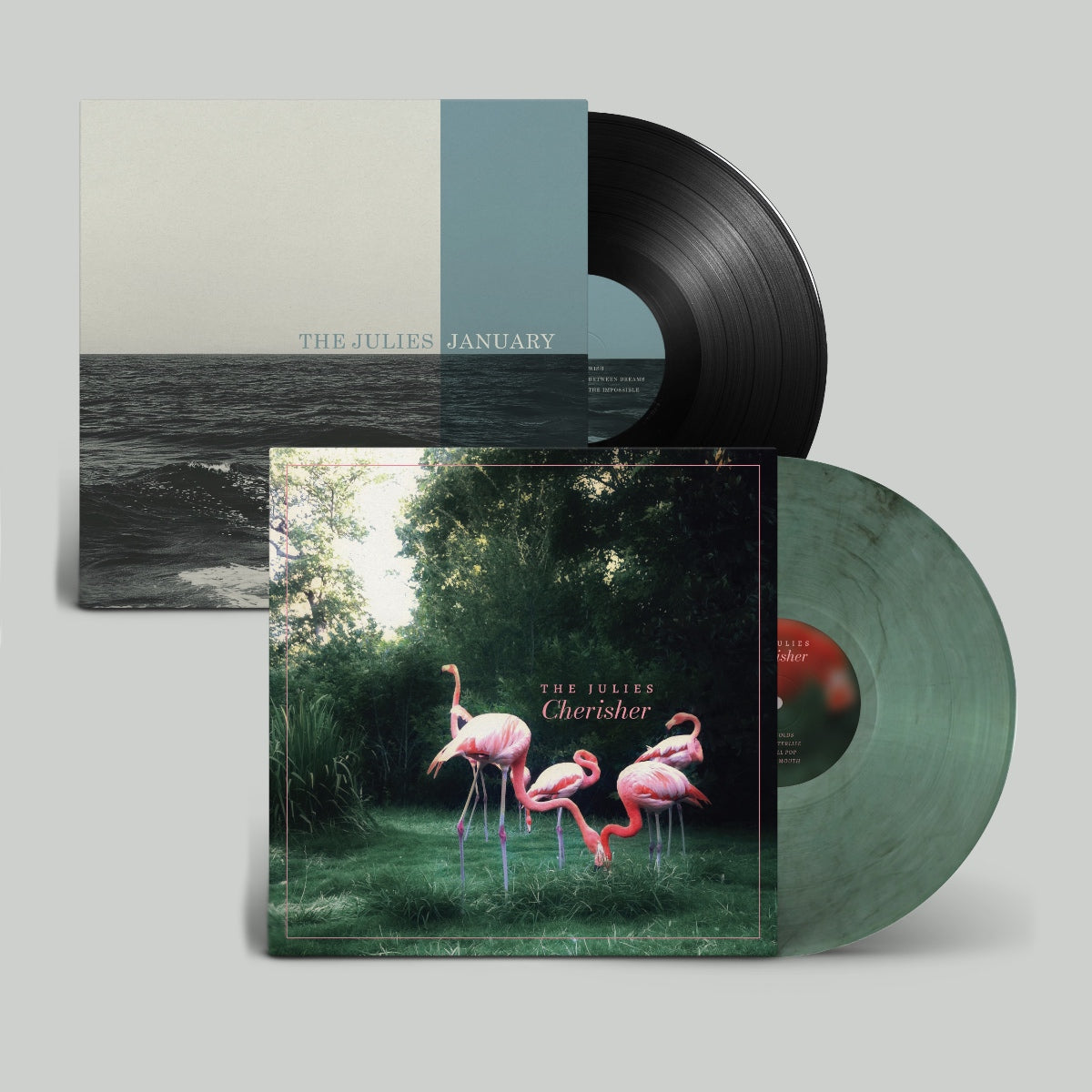 Vinyl records with artistic covers featuring landscapes and animals on a light gray background