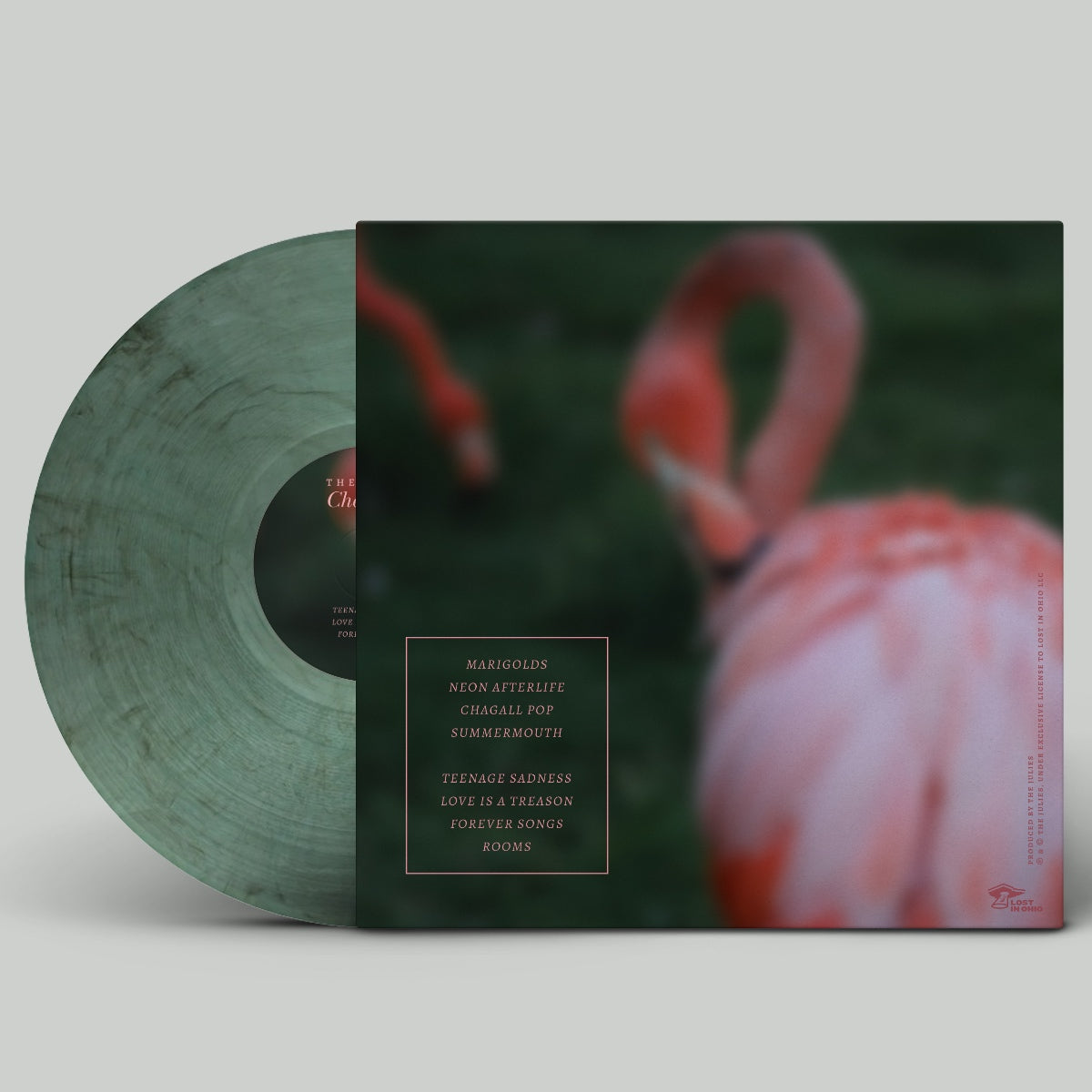 Vinyl record with a pink flamingo on the cover against a green background