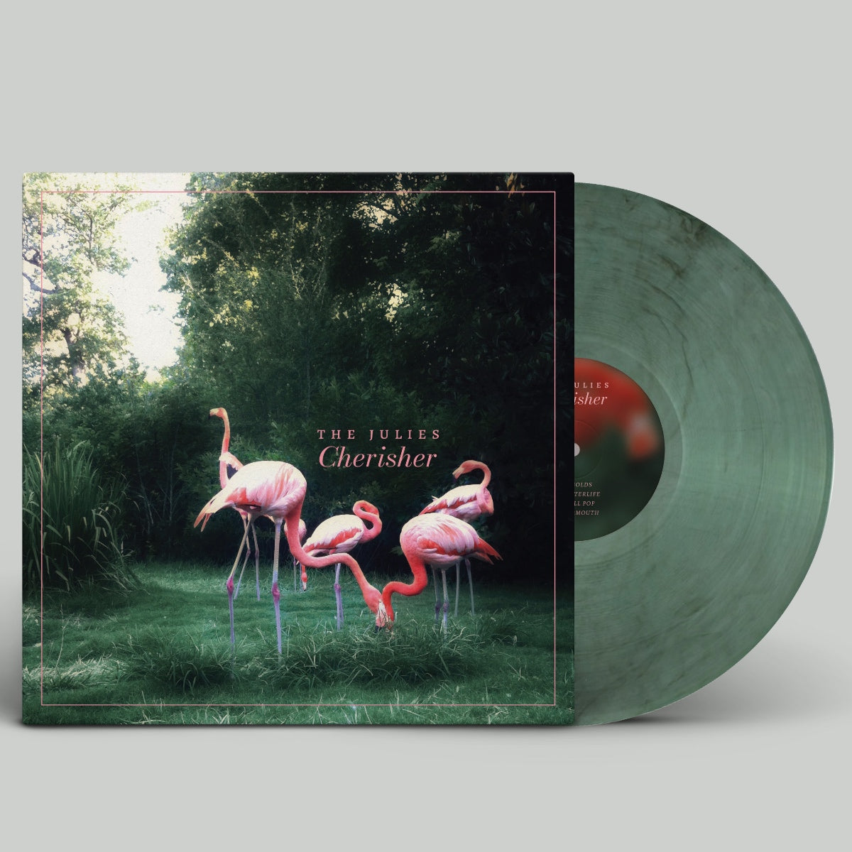 Vinyl record with cover featuring pink flamingos in a natural setting