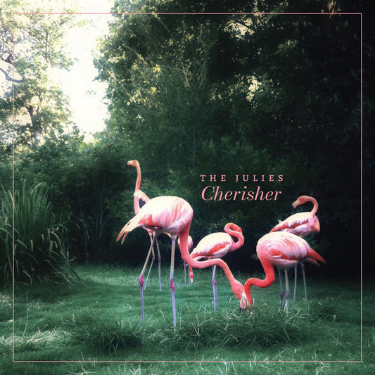 Pink flamingos in a natural setting with 'The Julies Cherisher' text overlay.